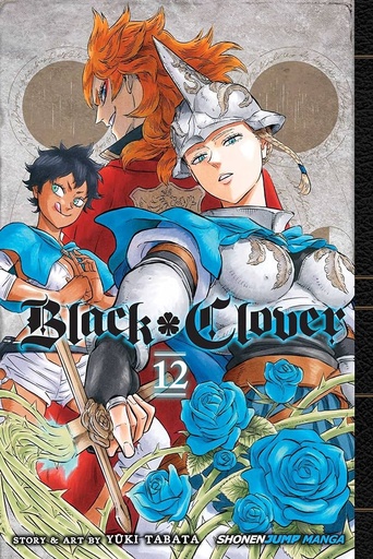 Black Clover Vol.12