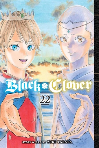 Black Clover Vol.22