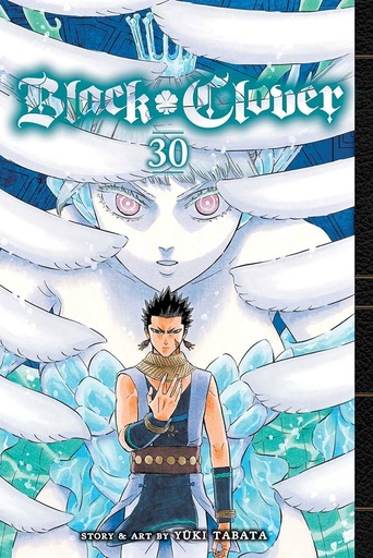 Black Clover Vol.30