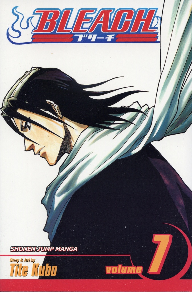 Bleach, Vol.7