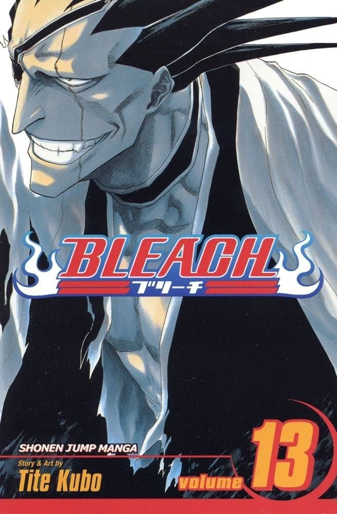 Bleach, Vol.13