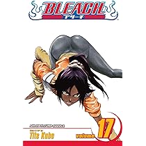 Bleach, Vol.17