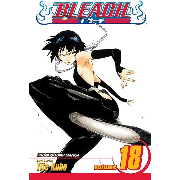 Bleach, Vol.18