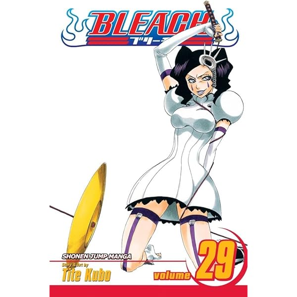 Bleach, Vol.29