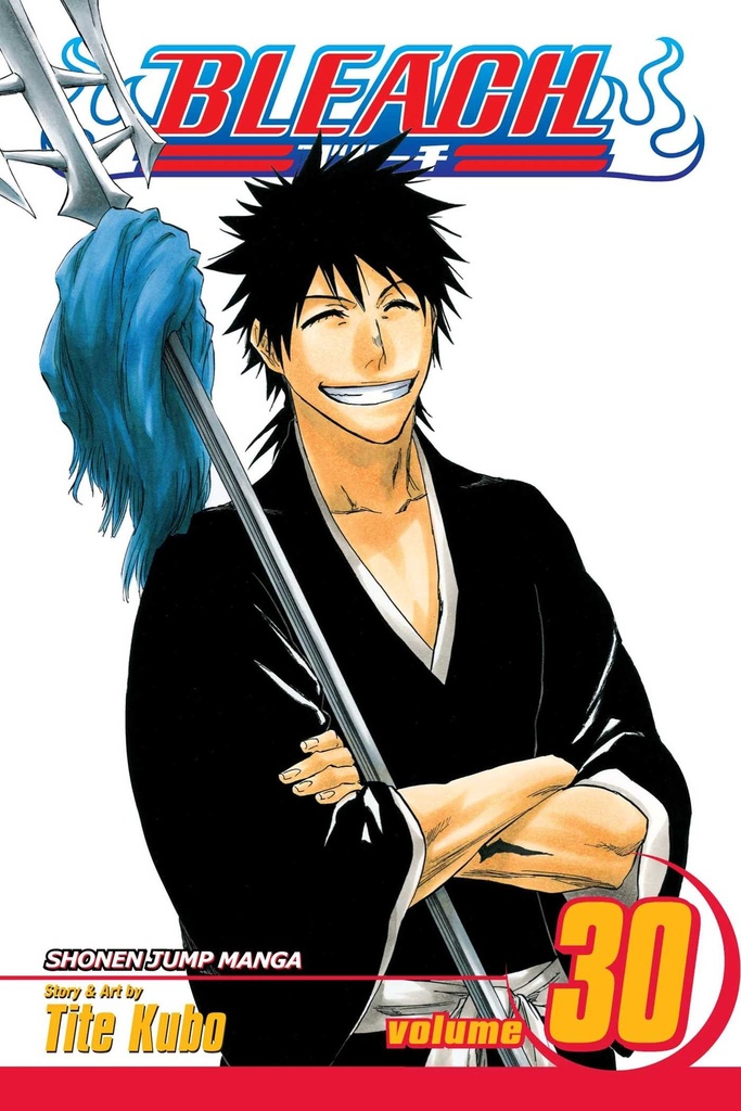 Bleach, Vol.30