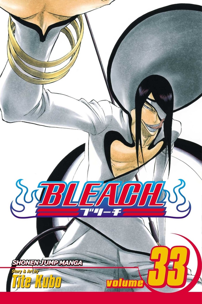 Bleach, Vol.33