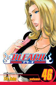 Bleach, Vol.46