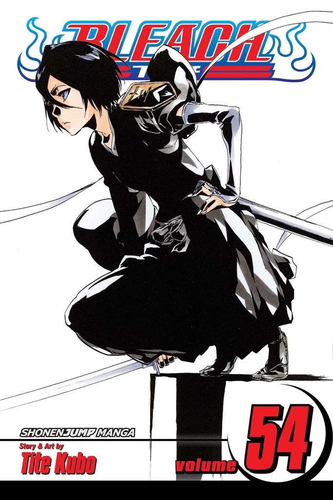 Bleach, Vol.54