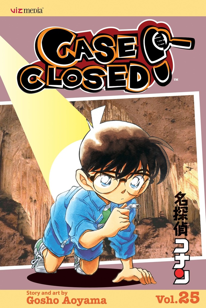 Case Closed Vol 25