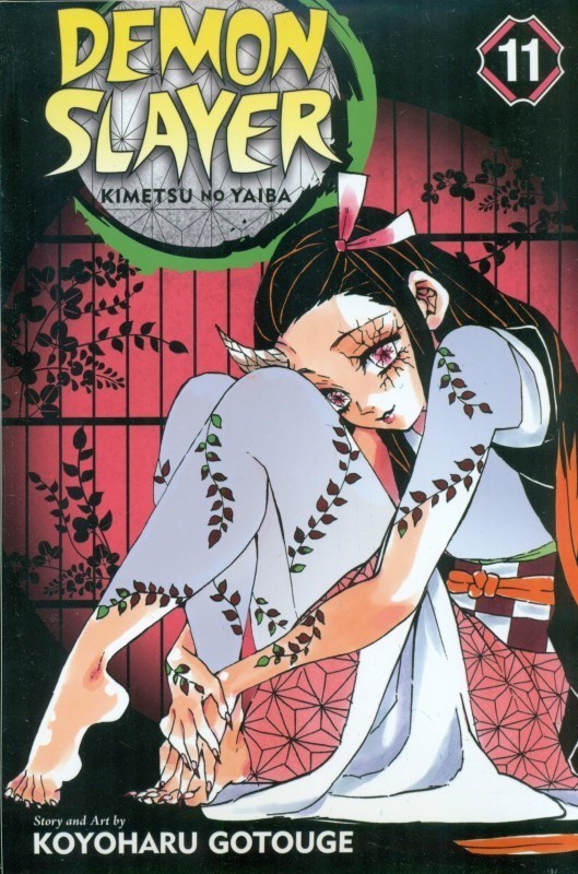 Demon Slayer Vol 11