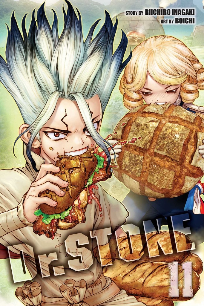 Dr. Stone Vol 11