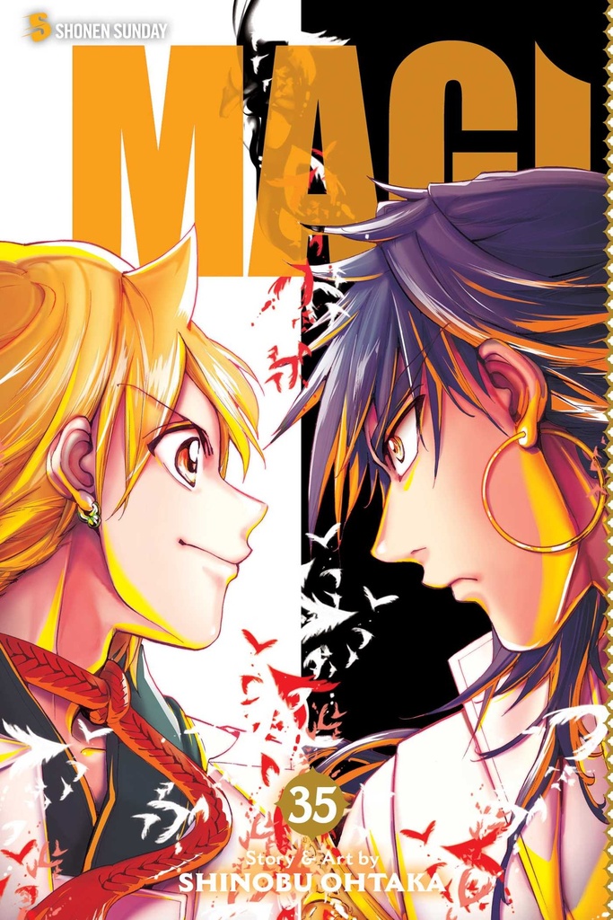 Magi : The Labyrinth of Magic Vol 35