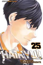 Haikyu! Vol 25