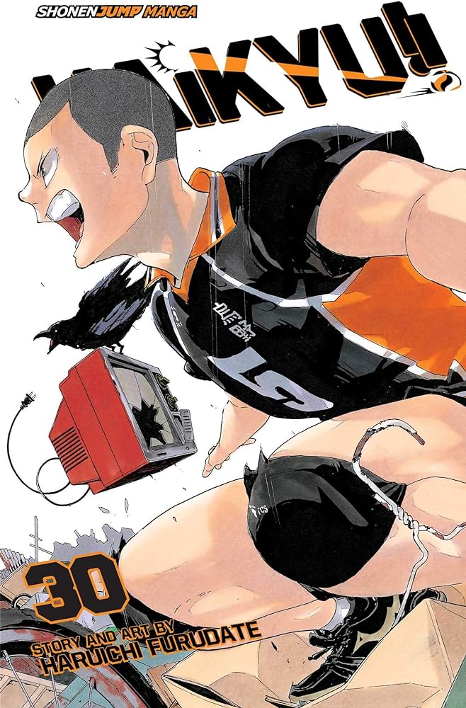 Haikyu! Vol 30