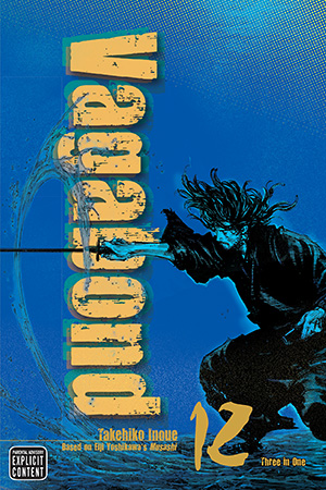 Vagabond, Vol.12    