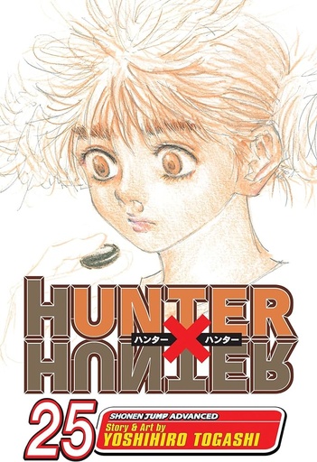 Hunter X Hunter, Vol.25     