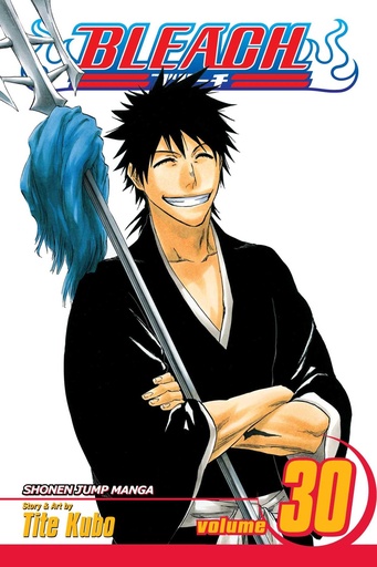 [17+] Bleach, Vol.30