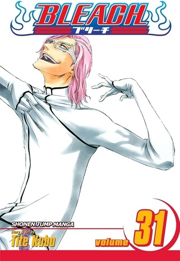 Bleach Vol 31