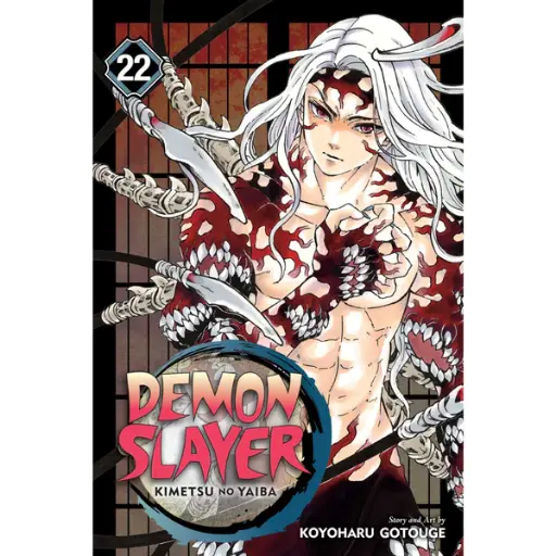 [17+] Demon Slayer Vol 22