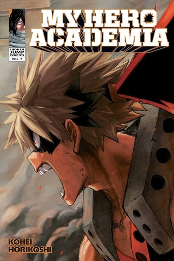 [21+] My Hero Academia Vol 07