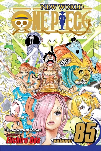 [17+] One Piece Vol 85