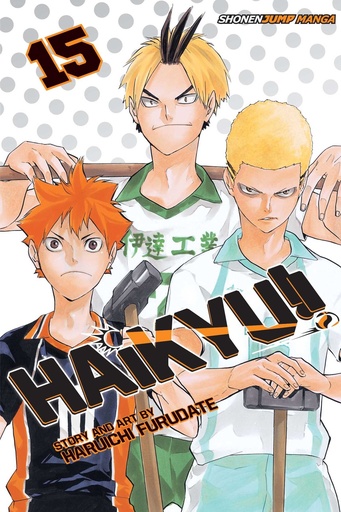 [17+] Haikyu! Vol 15