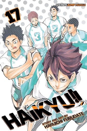 [17+] Haikyu! Vol 17