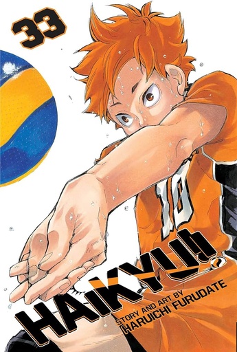 [17+] Haikyu! Vol 33